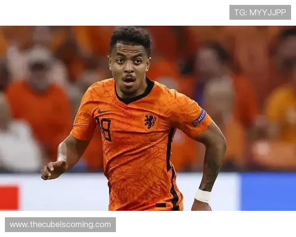 马伦战术适配性分析，揭示其在未来足球战术演变中的潜在趋势与影响