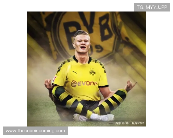 哈兰德新时代中锋