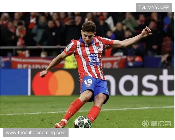 阿尔瓦雷斯:从中锋到二前锋的角色演变分析 阿尔瓦雷斯:从中锋到二前锋的角色演变分析